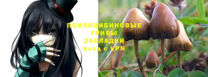 KRAKEN ТОР  Вихоревка  Псилоцибиновые грибы MAGIC MUSHROOMS 